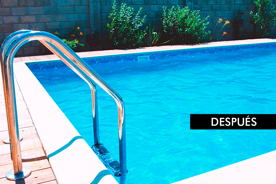 Fuerza Oso Tranquilidad de espíritu Sellador de fugas de agua en piscinas, balsas y tuberías | Renomax ®